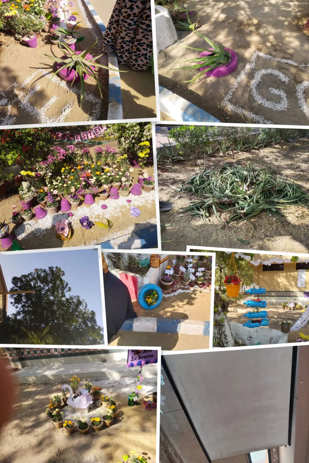 Flower Exhibition