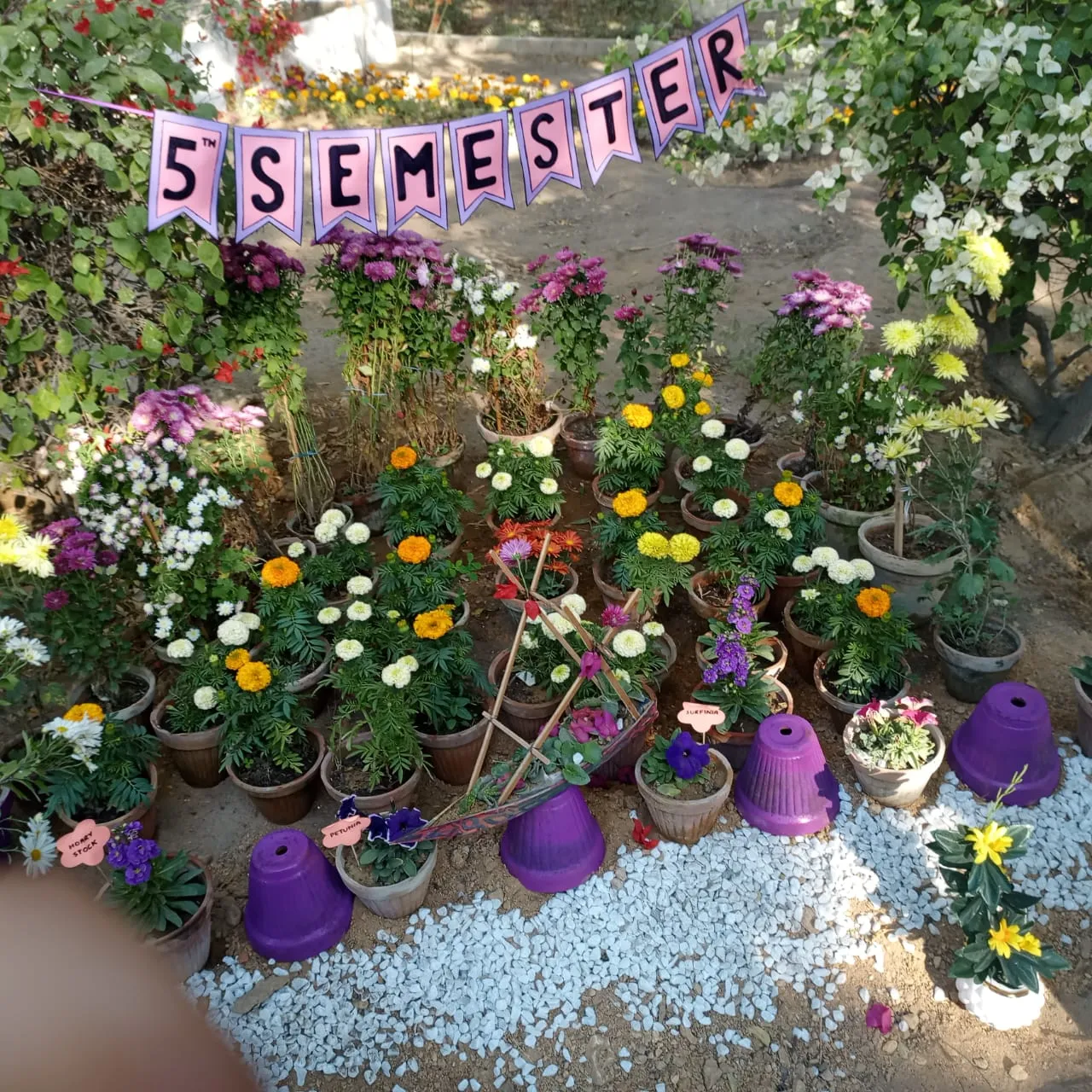 Flower Exhibition — photo 2