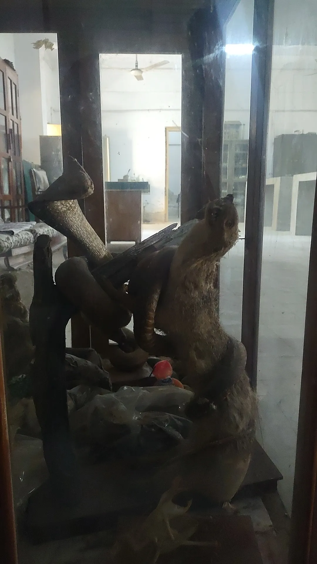 Biology Lab — photo 2