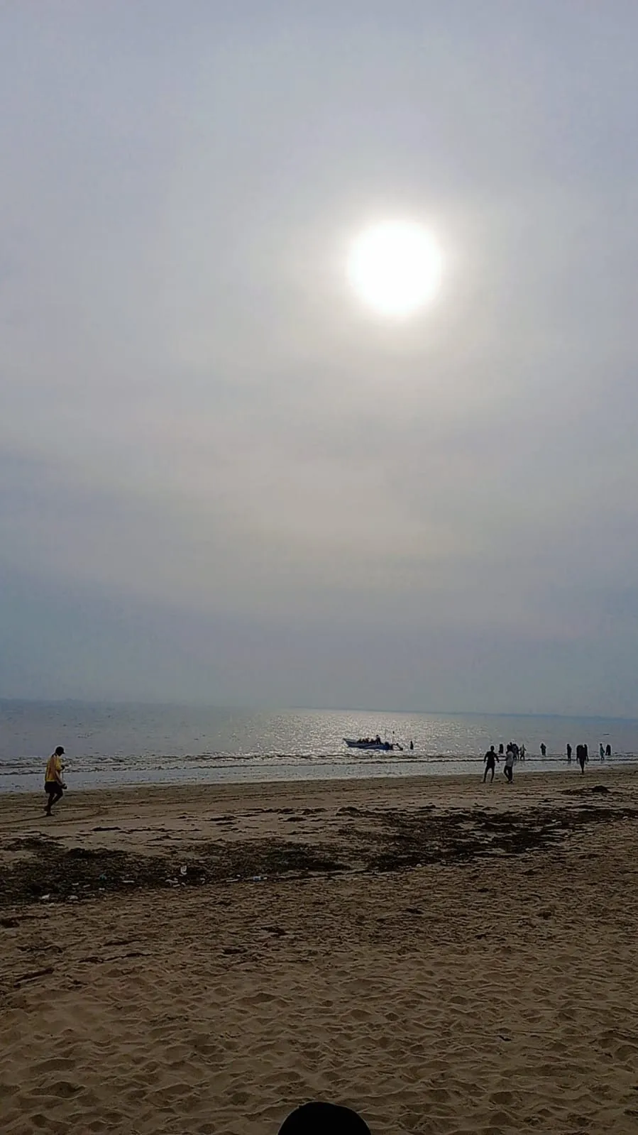 Picnic Day — photo 3