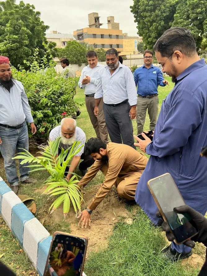 Plantation Day — photo 3