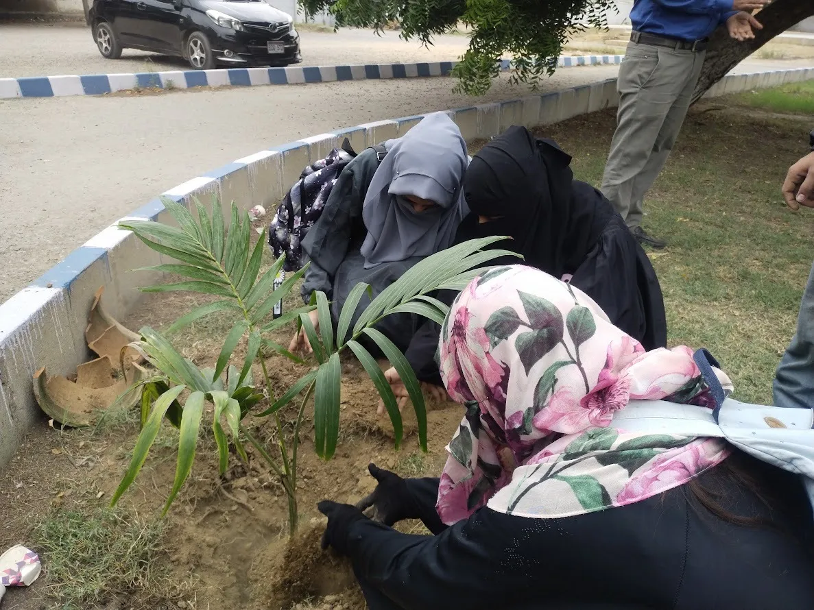 Plantation Day — photo 4