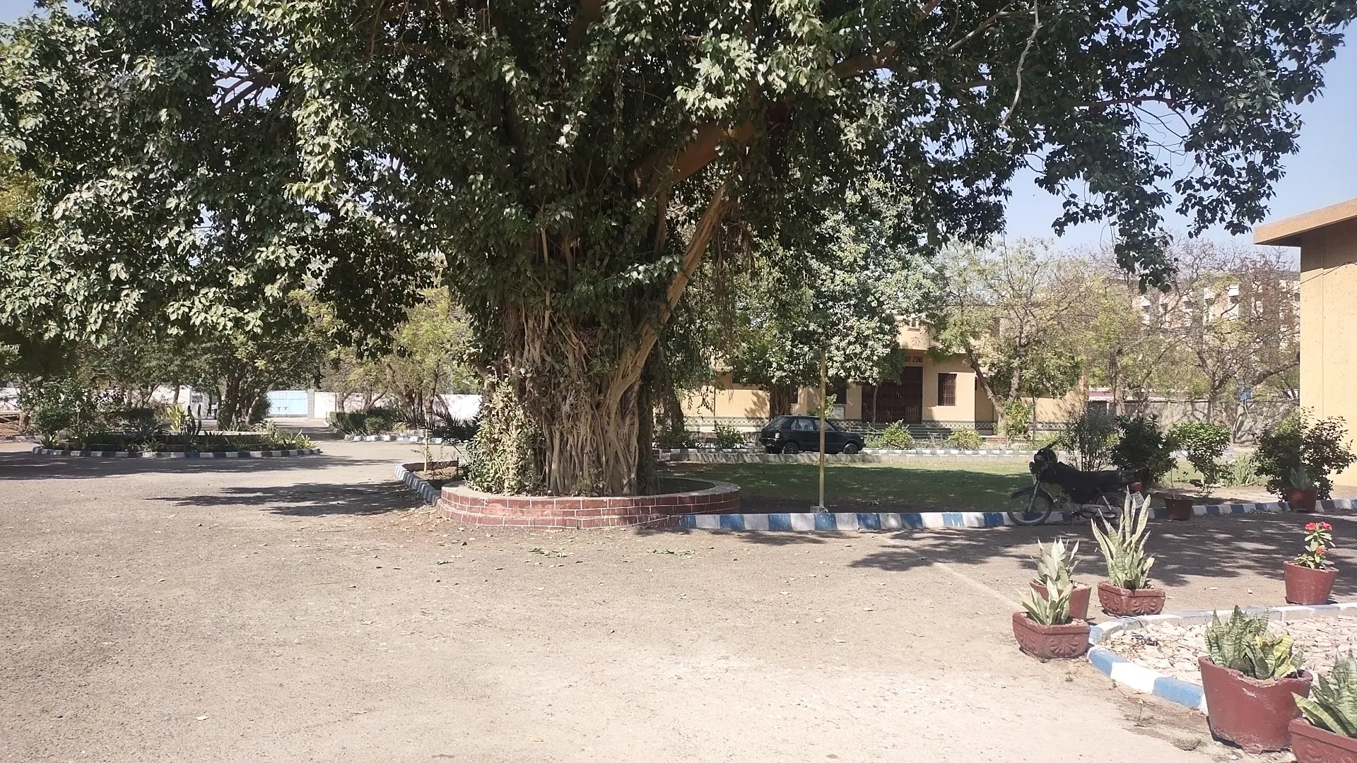 Lawns — photo 3