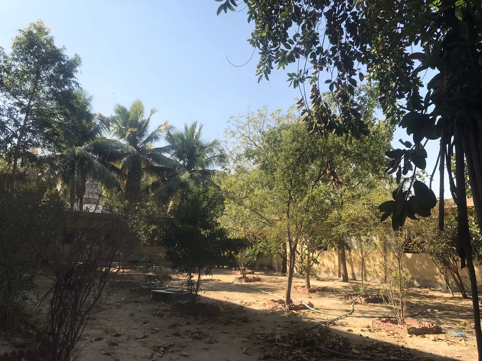 Lawns — photo 4