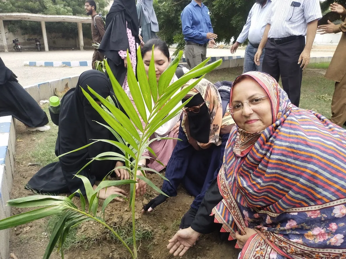 Plantation Day — photo 5