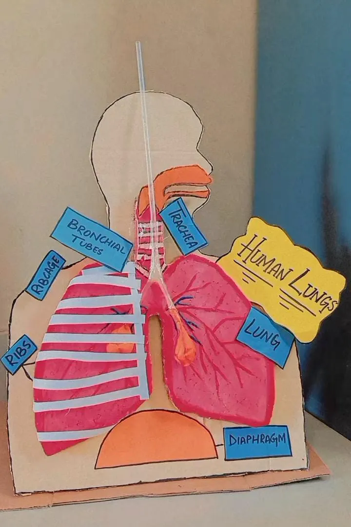 Teaching Practice — photo 5