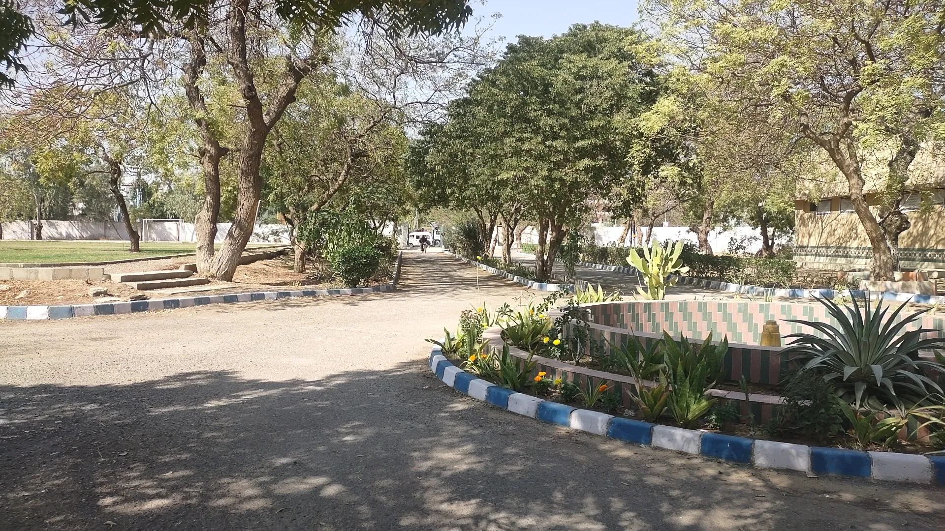 Lawns — photo 5