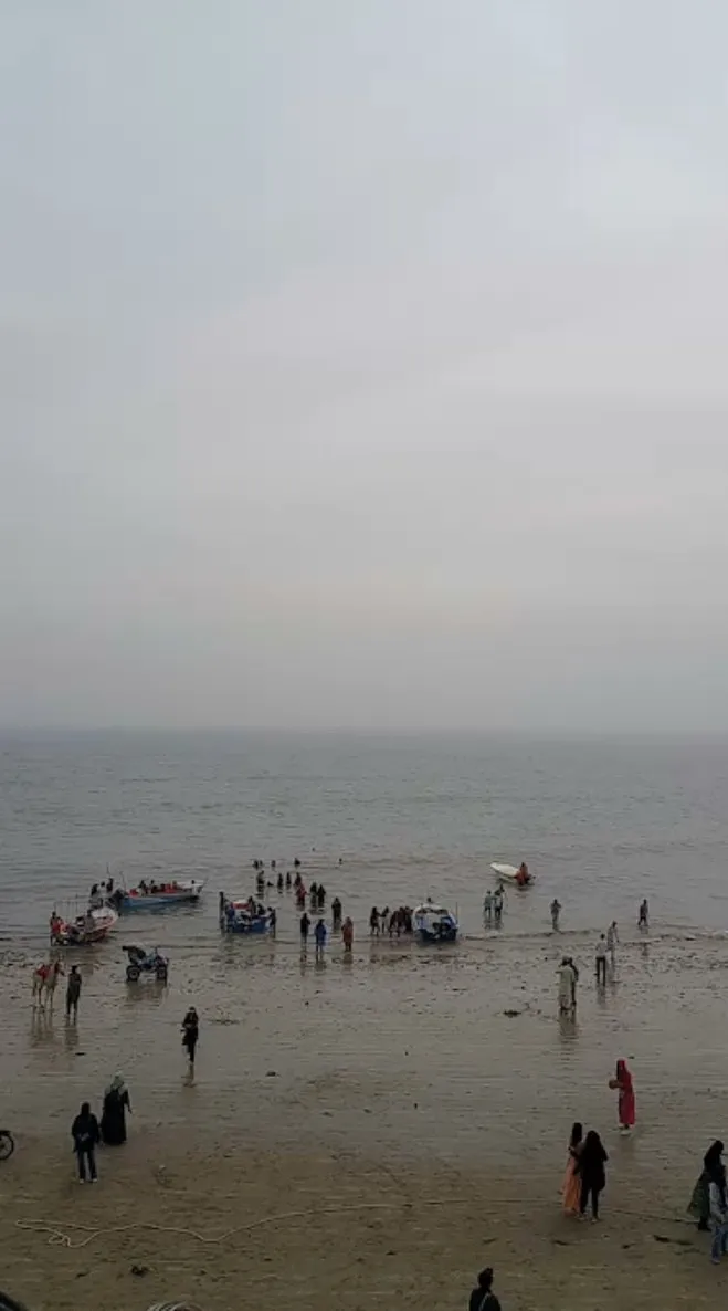 Picnic Day — photo 6