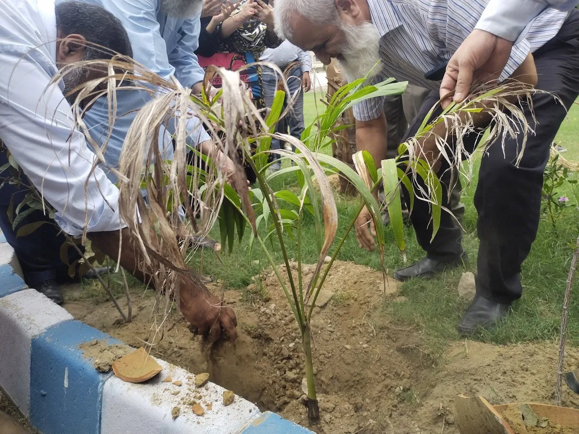 Plantation Day — photo 6