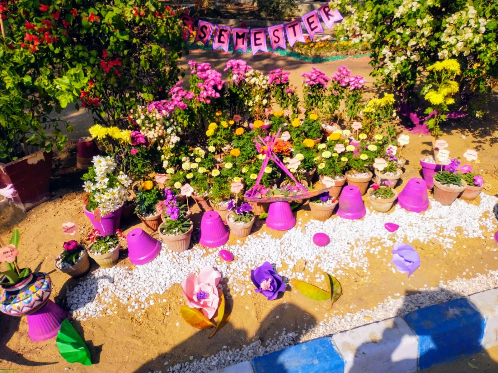 Flower Exhibition — photo 8