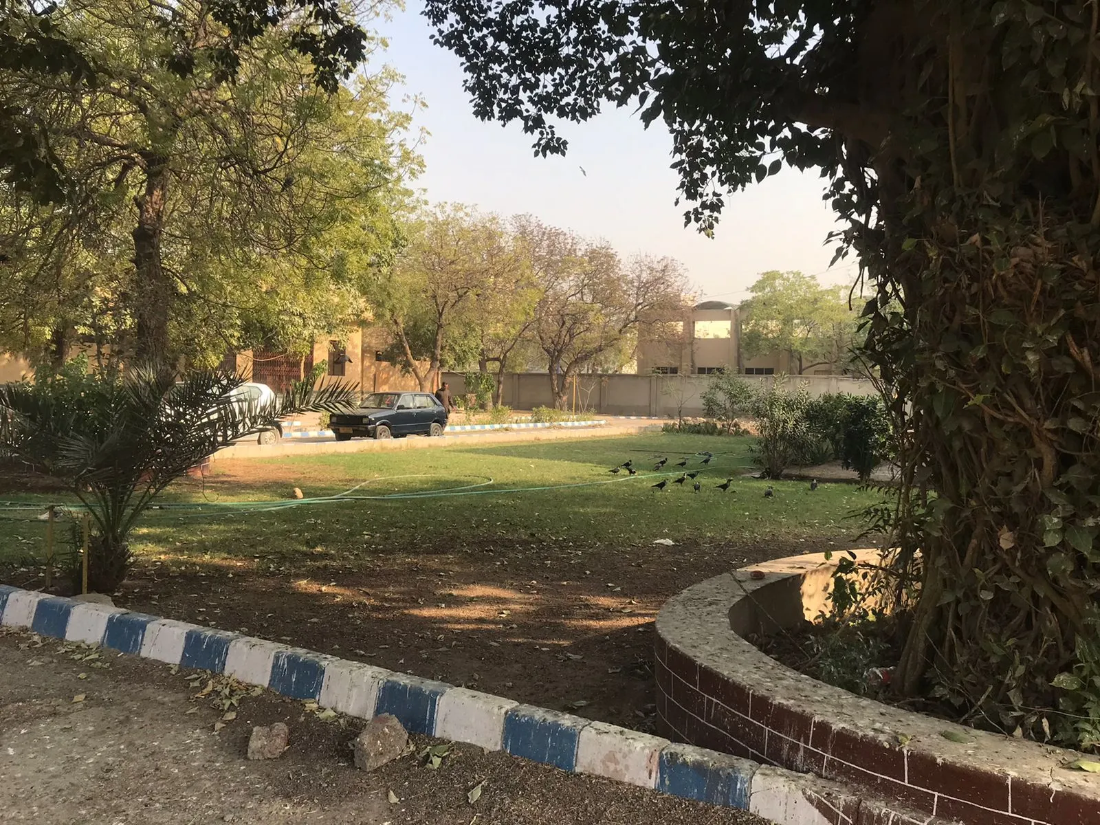 Lawns — photo 7