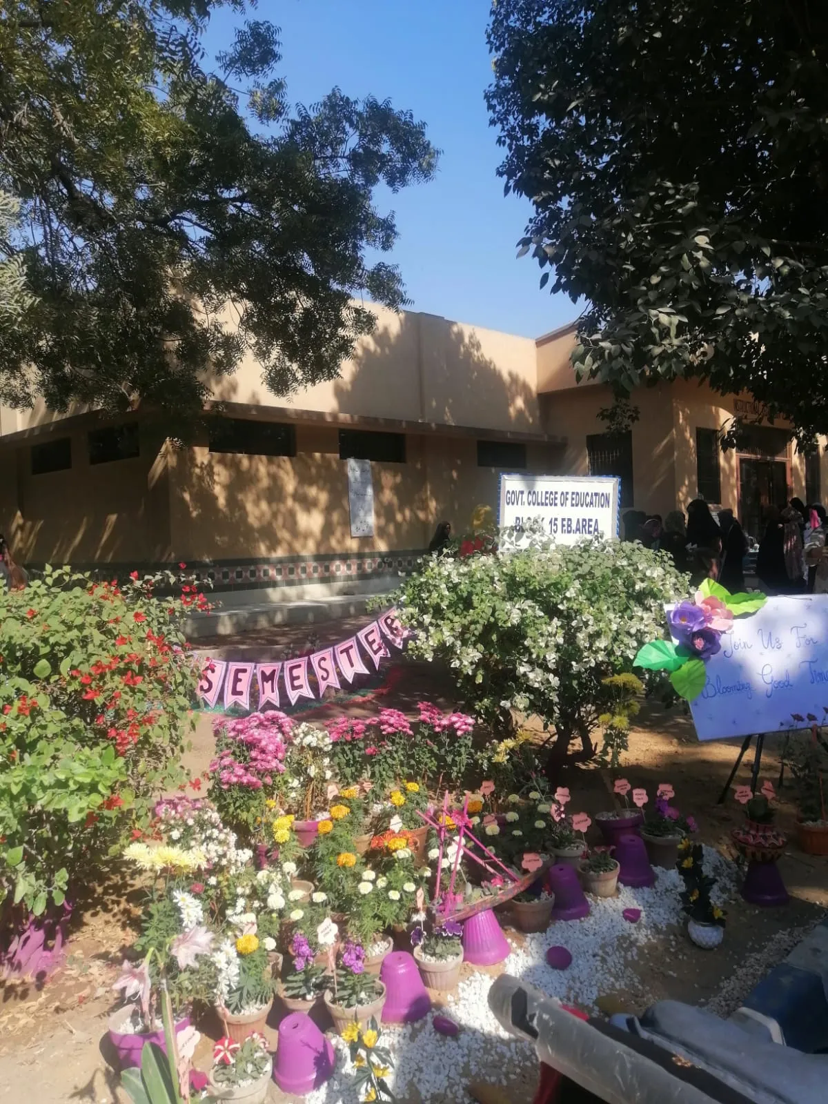Flower Exhibition — photo 10