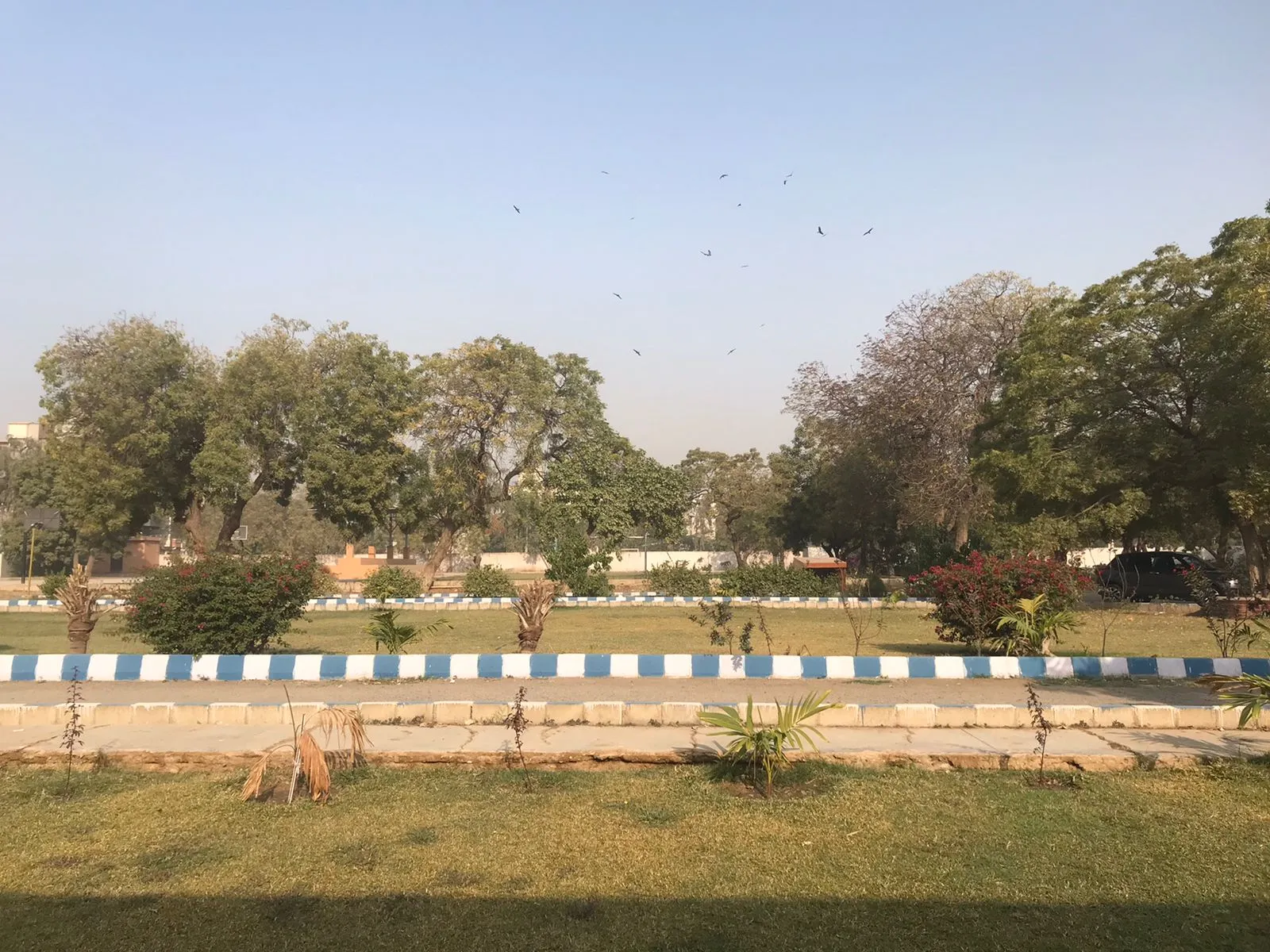 Lawns — photo 8