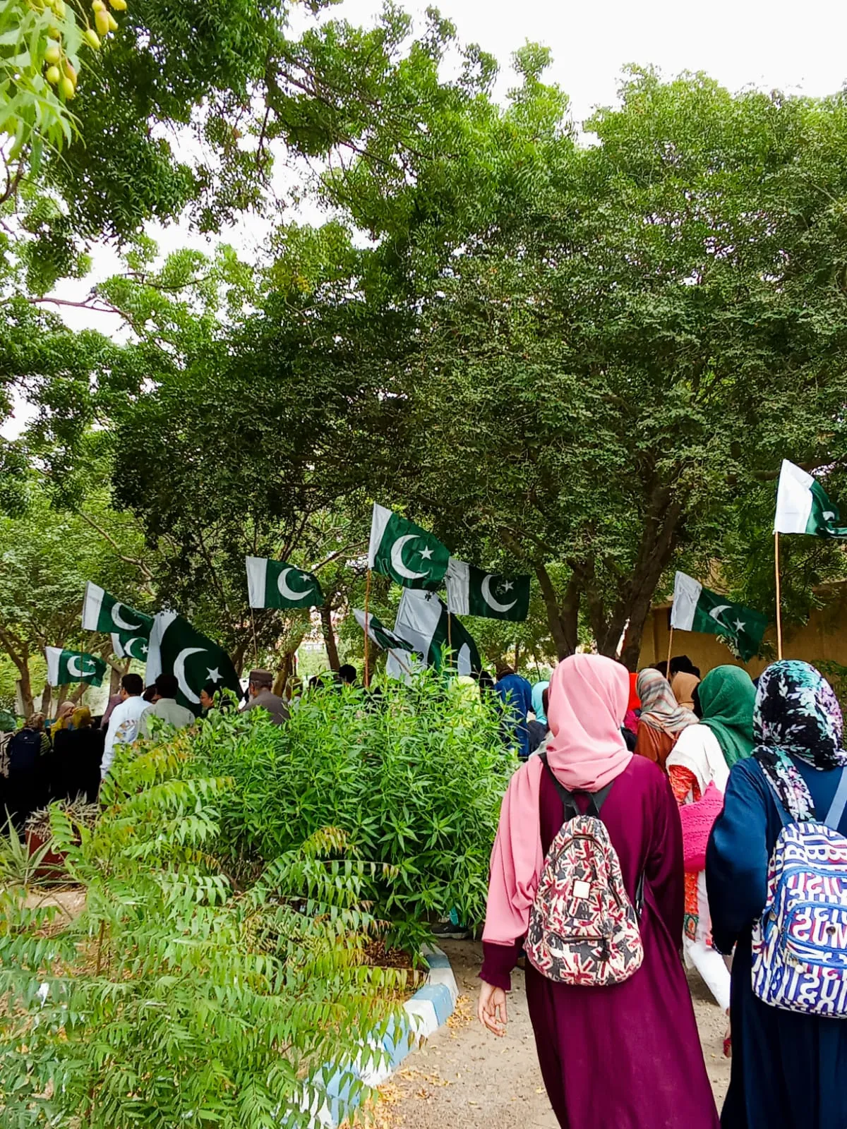Awareness Rallies — photo 9
