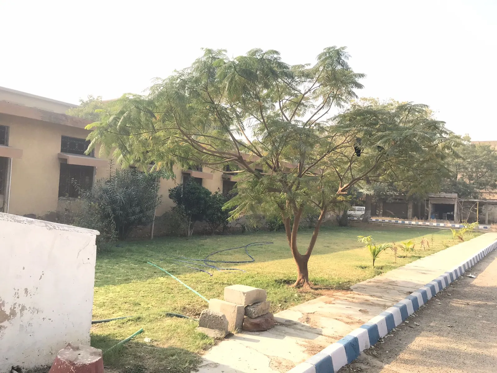 Lawns — photo 10