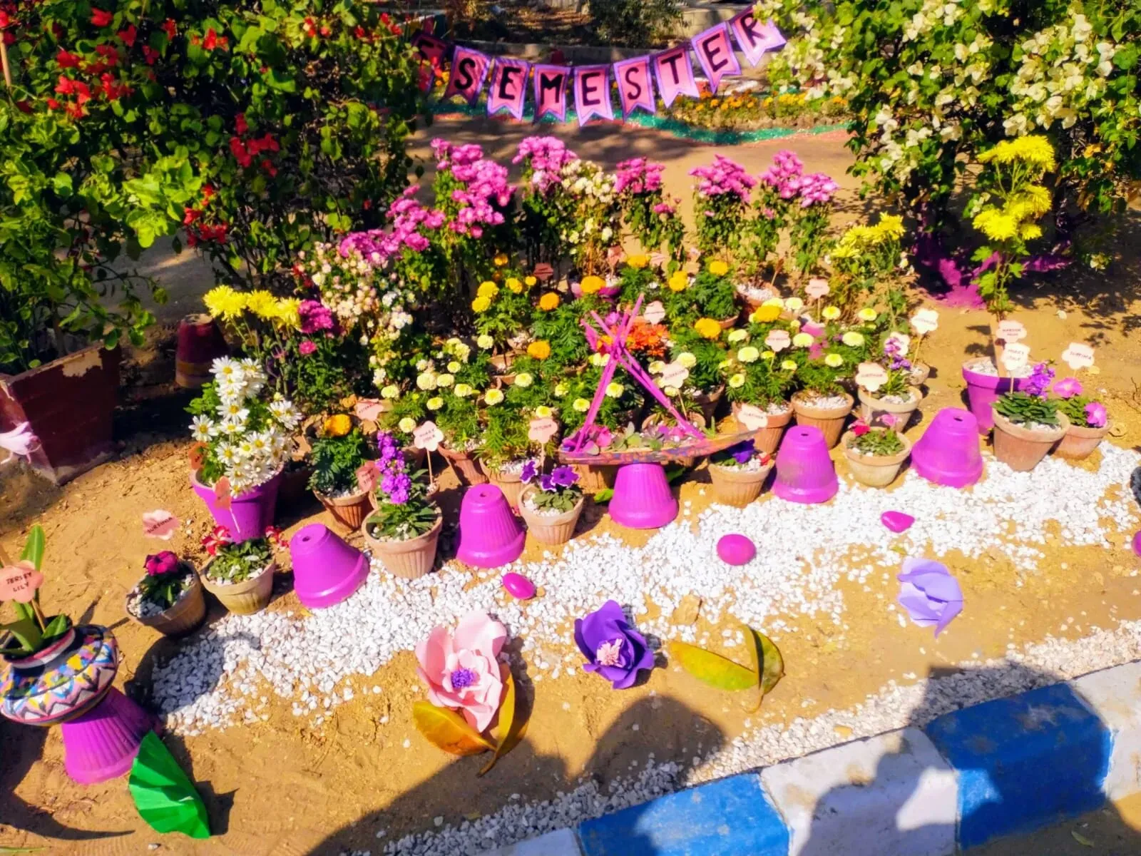 Flower Exhibition